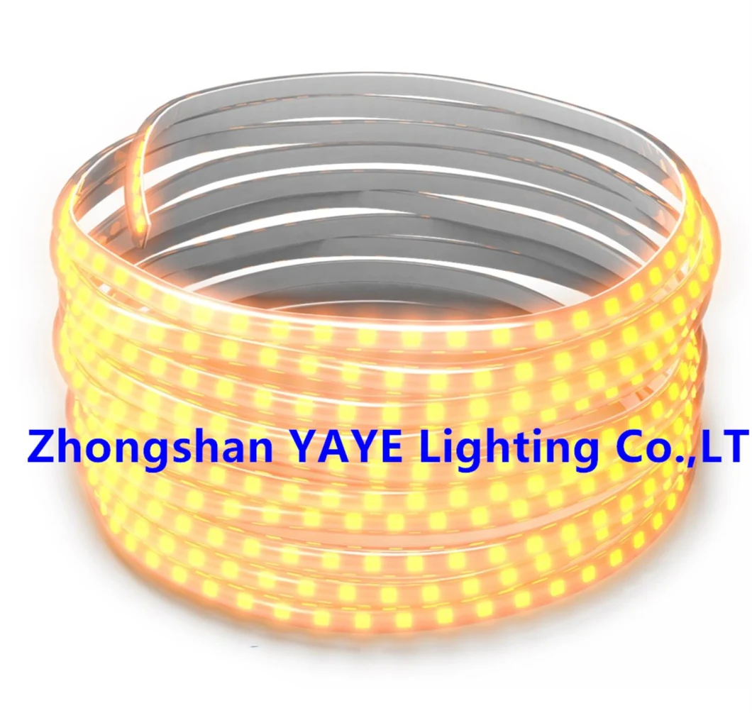 Yaye Solar Factory Supplier 50W 5m High Quality Outdoor Waterproof IP65 Single Color LED Strip Garden Christmas Holiday Landscape Decorative Light Manufacturer