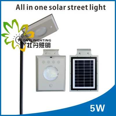  IP65 Fabrikpreis!  !  5W integrierte All-in-One-Solar-LED-Straßenlaterne!  !  Infrarot-Induktion des menschlichen Körpers!  !  Garten-/Wand-/Innenhof-/Straßen-/Autobahn-/Rasenlampe im Freien